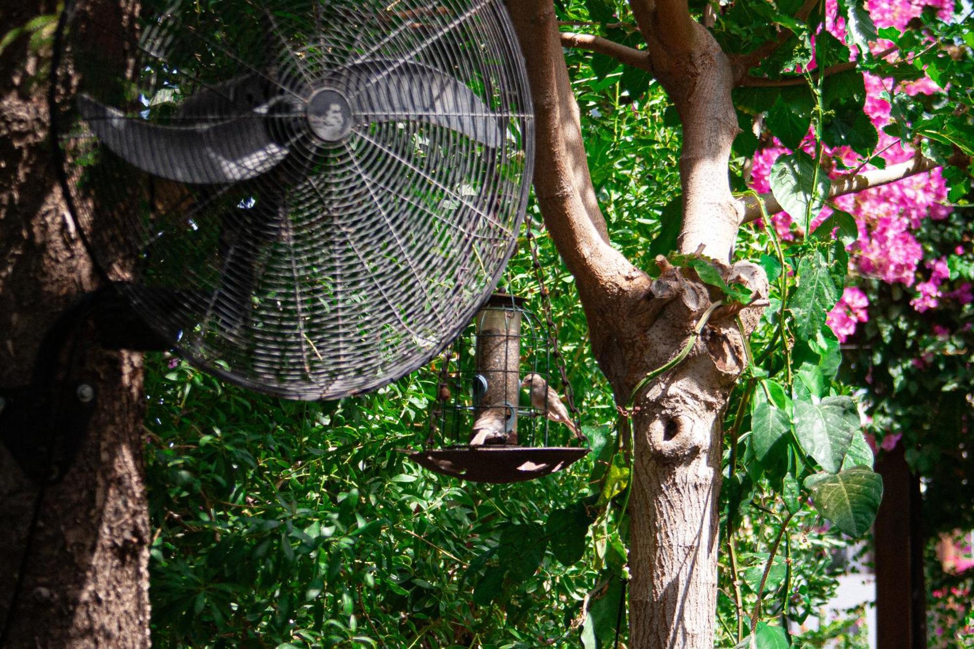 Vagia Traditional, Aegina Island Eksteriør billede